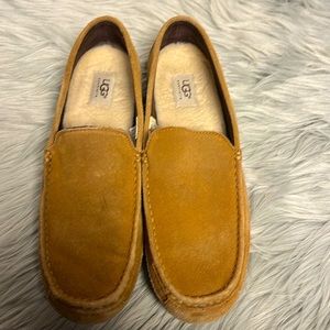 Men’s Ugg suede shoes